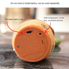 Load image into Gallery viewer, Lovely Talking Toy Dancing Cactus | Sound Record Repeat Toy | Best Christmas Gift for Your Kid