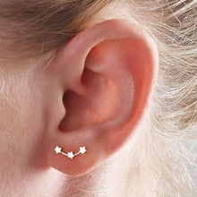 Ladda upp bild till gallerivisning, Hot Crystal Flower Stud Earrings for Women Fashion Jewelry Gold Silver Rhinestones Earrings Gift for Party and Best Friend
