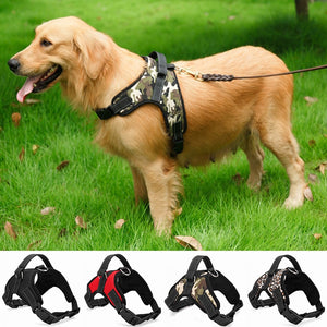 Dog Harness Collar Adjustable