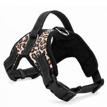 Ladda upp bild till gallerivisning, Dog Harness Collar Adjustable
